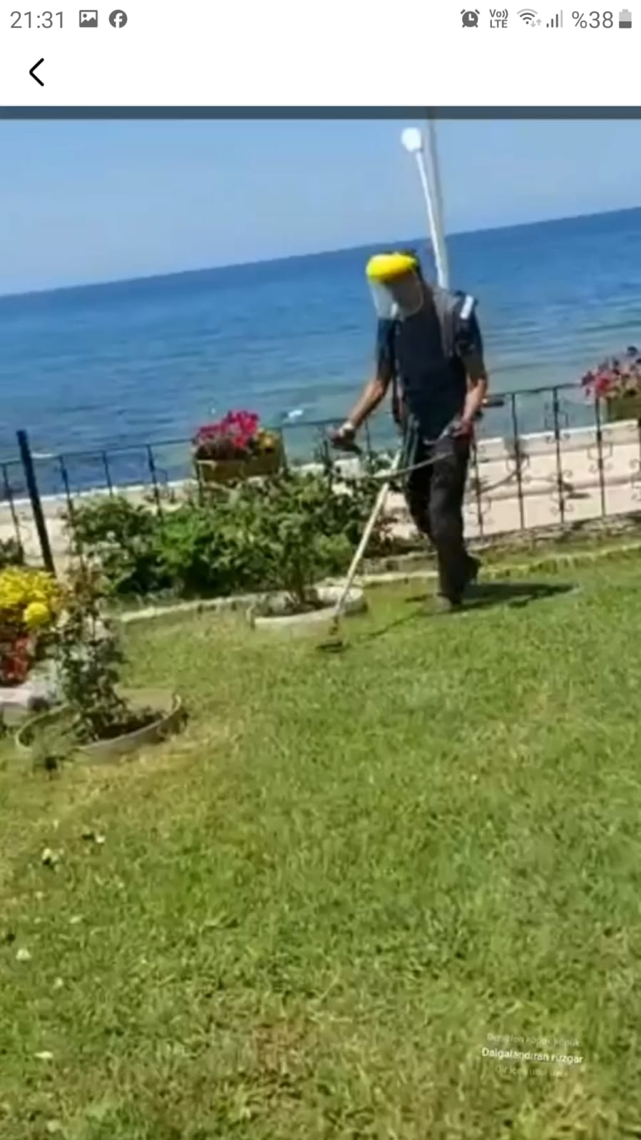 Çim Biçme
